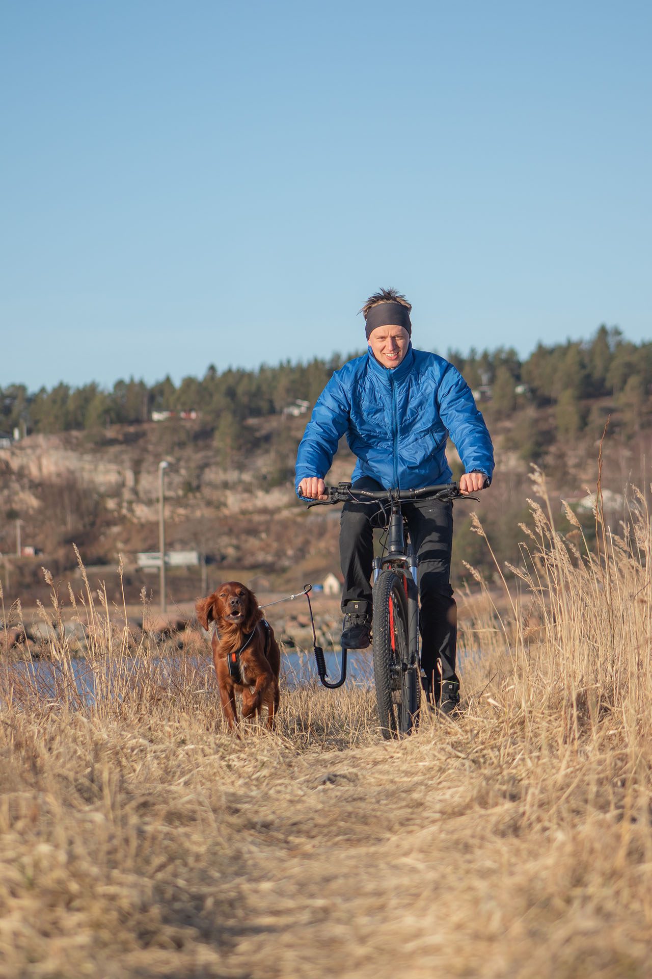 hund sykkel tur springer